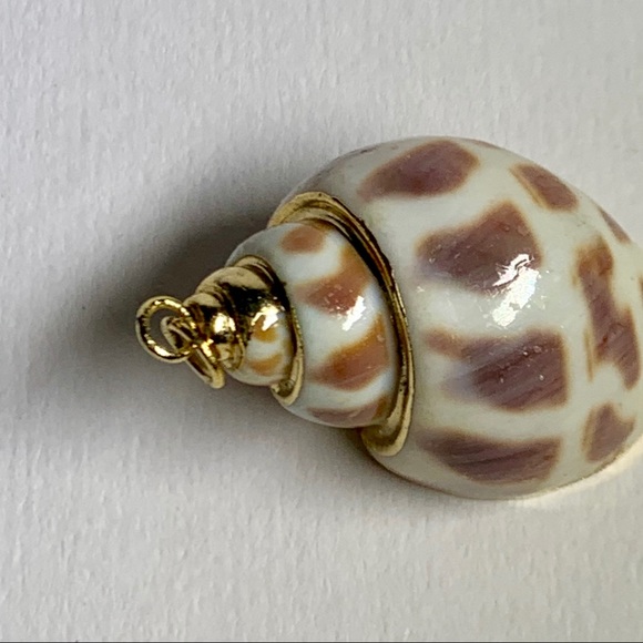 ⭐️ Gold Plated Shell ⭐️ - Picture 8 of 8